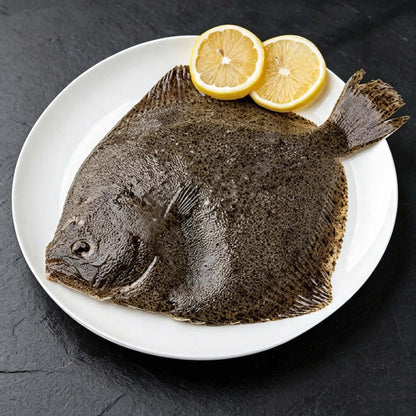 Frozen Turbot Fish